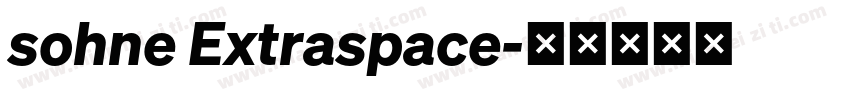 sohne Extraspace字体转换